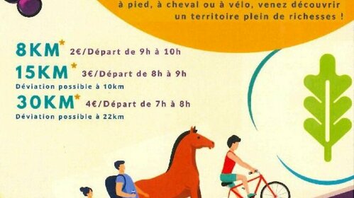 Randonnée vignobles en bertranges