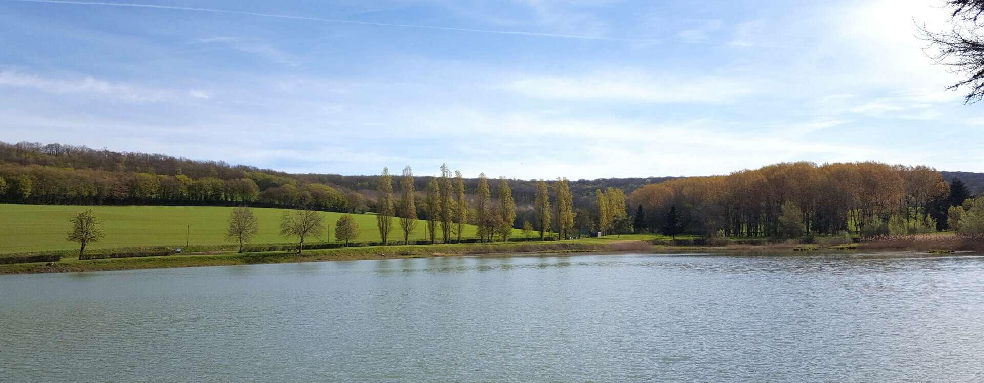 Logements communaux et terrains